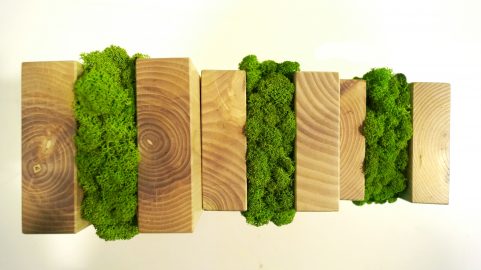 Drewniane słupki z mchem